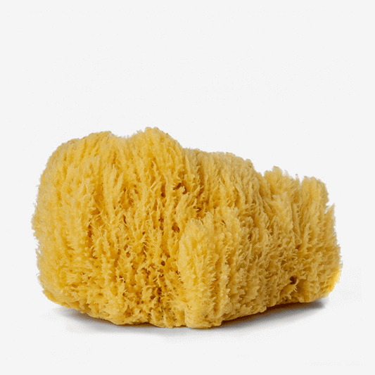 Daler Rowney Artists Natural Sponge